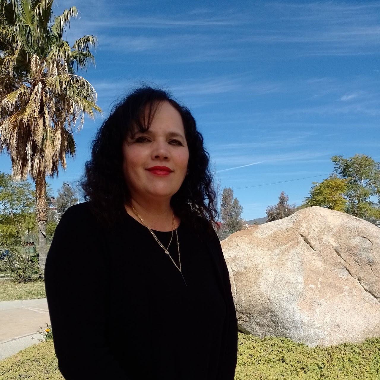 MCA. Velia Veronica Ferreiro Martínez